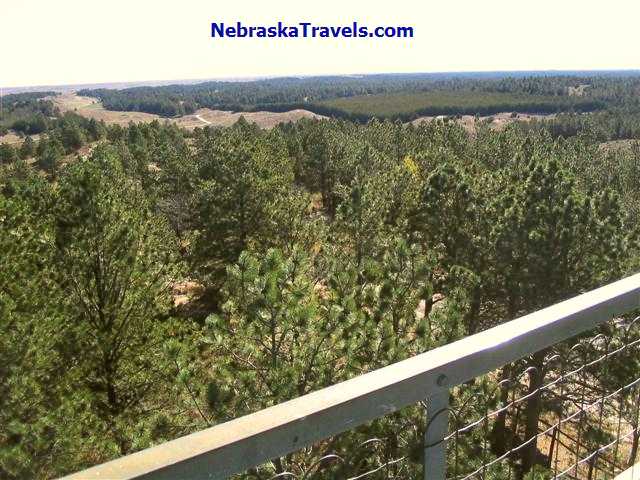 Halsey Nebraska National Forest from top of Fire Lookout Tower