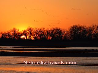 Flocks of Sandhill Cranes & Nebraska Sunset from Rowe Sanctuary Viewing Blind on south edge of the Platte River